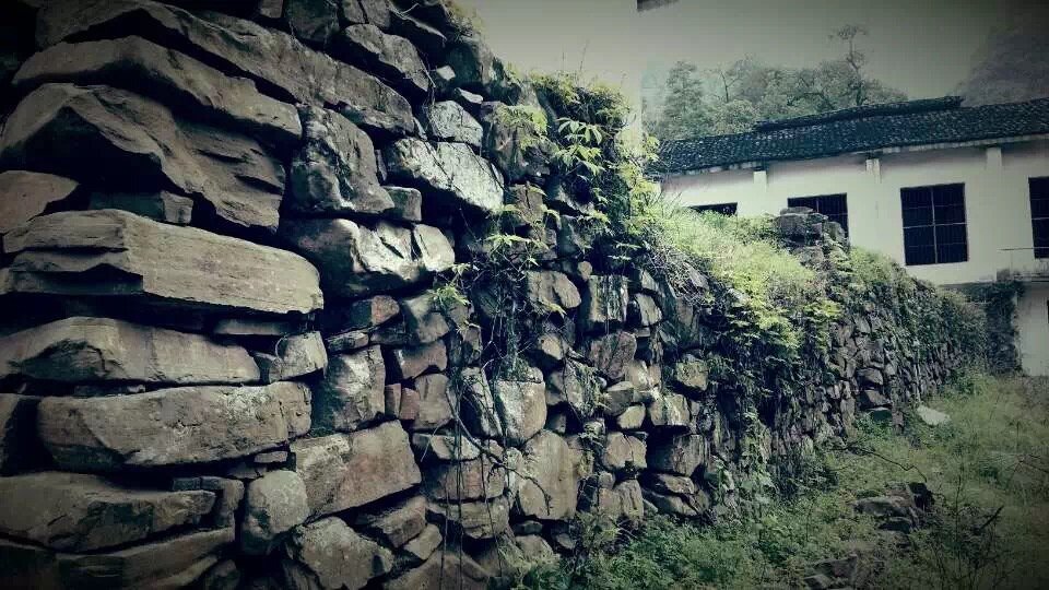 旧故里草木深