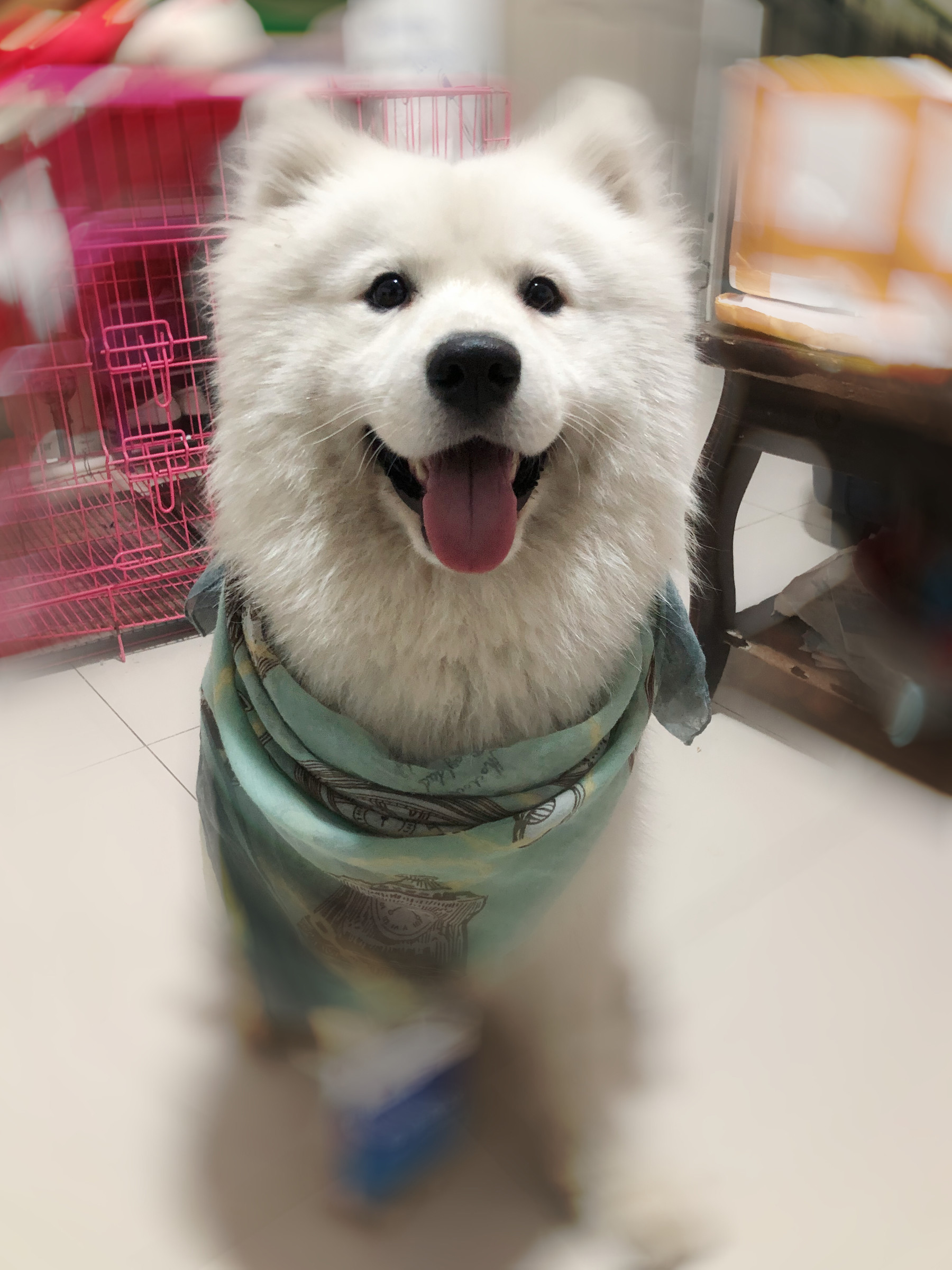 小可爱~