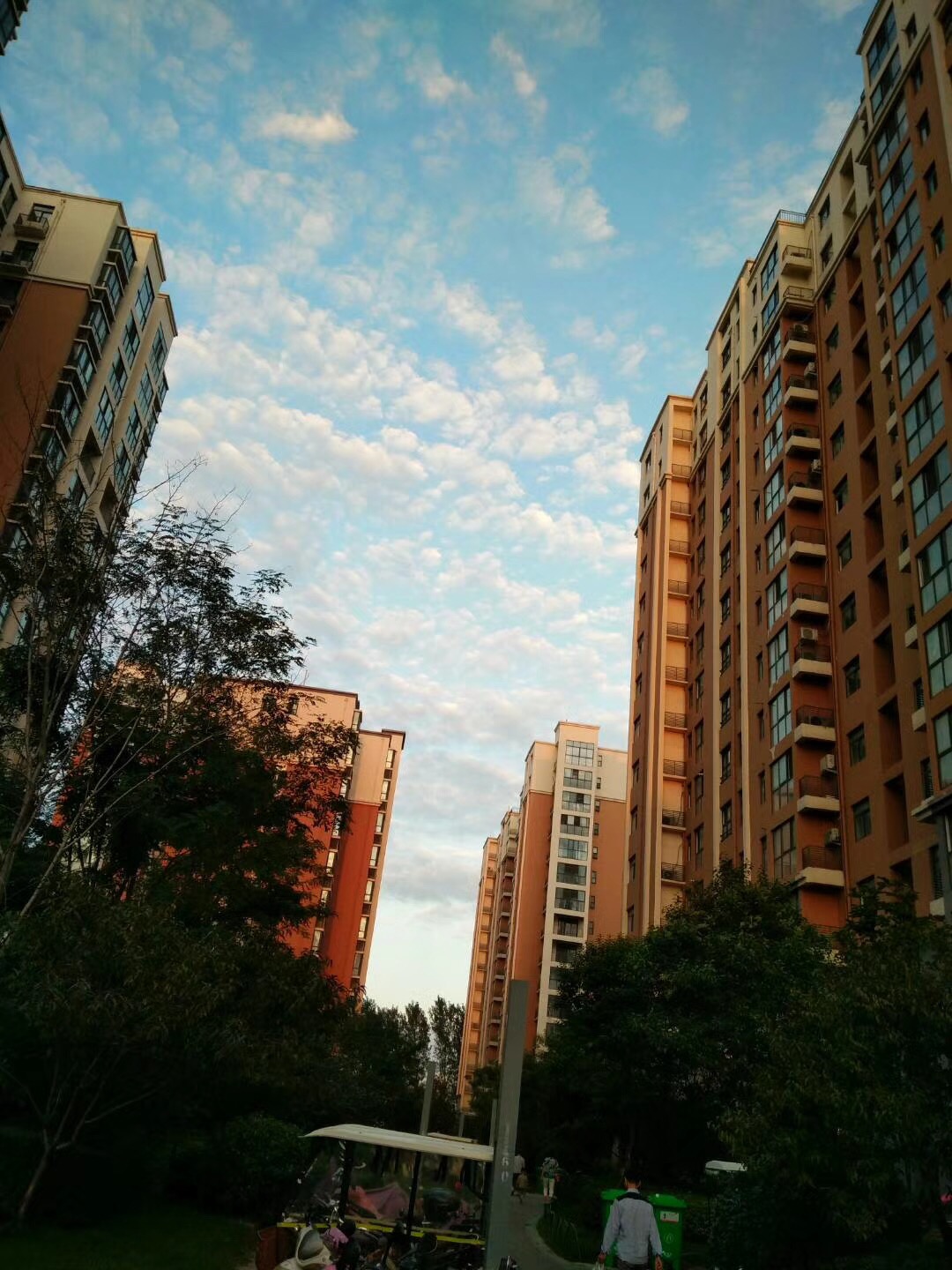 景色如画