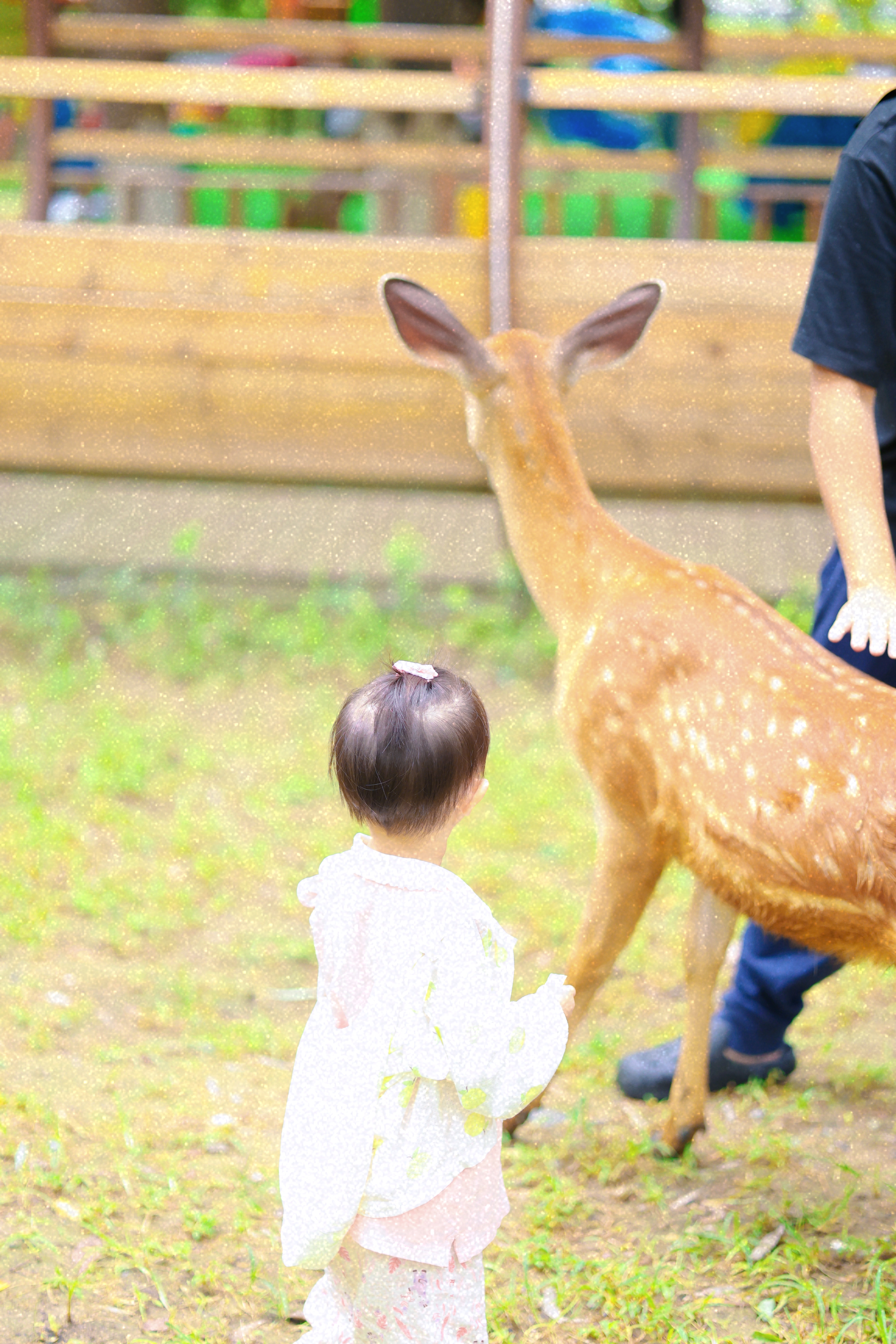 在奥森感受自然