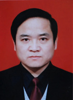 老杨先生